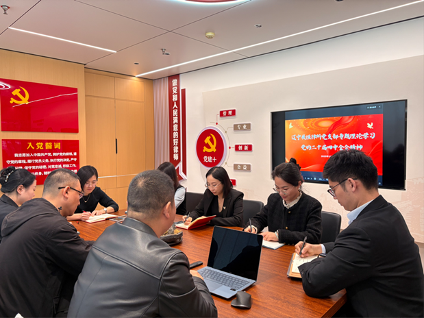 学深悟透凝聚共识 创新赋能擘画未来——展恒所党支部学习贯彻党的二十届四中全会精神